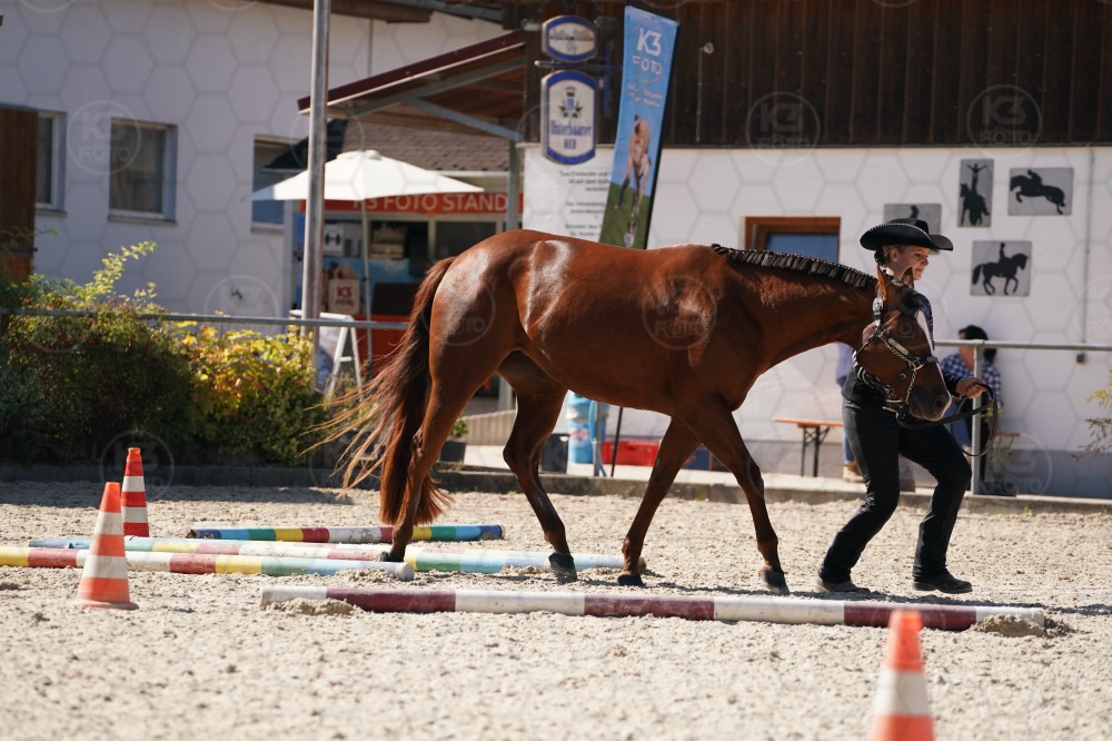 s_A_907608.JPG